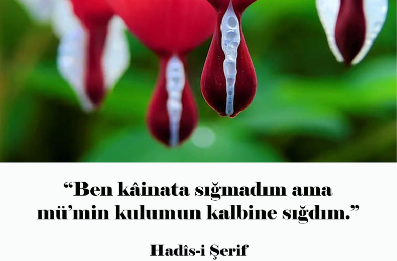 İnsanin i̇hti̇şami…